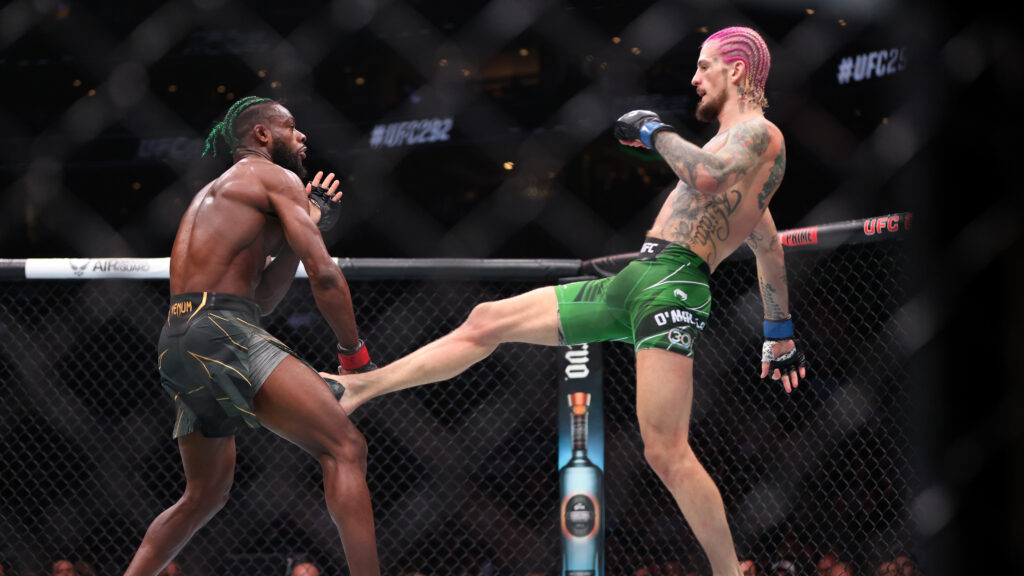 Sean O’Malley upsets Aljamain Sterling for UFC bantamweight title