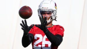 Arizona Cardinals activate Bobby Price from IR, elevate Dan Chisena from practice squad