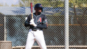 Diamondbacks announce spring training roster with Gino Groover, Kristian Robinson
