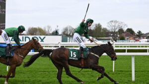 High horse: Arizona Cardinal takes home Topham Handicap Chase victory