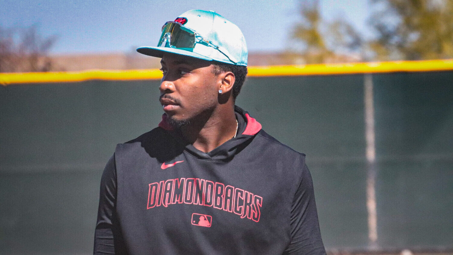 Diamondbacks infielder Gino Groover...