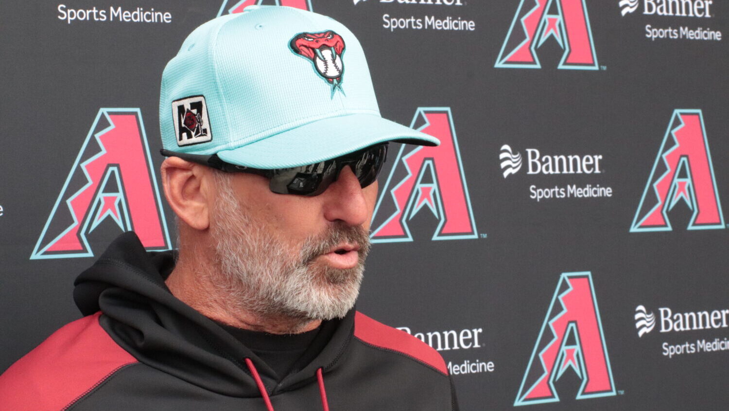 Diamondbacks manager Torey Lovullo...