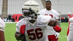 Arizona Cardinals' deep DL room will swing how great defense can be