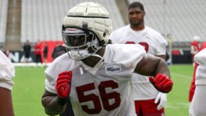 Cardinals DL Darius Robinson's Year 2 evolution multipronged