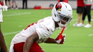 Cardinals' Will Johnson, fans show out for Red & White Practice