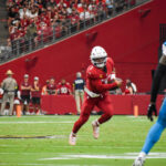 Cardinals Panthers Week 2