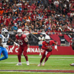 Cardinals Panthers Week 2