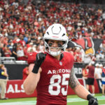 Cardinals Panthers Week 2