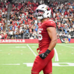 Cardinals Panthers Week 2