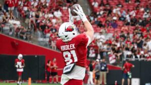 Cardinals' Travis Vokolek carted off with neck injury vs. Colts