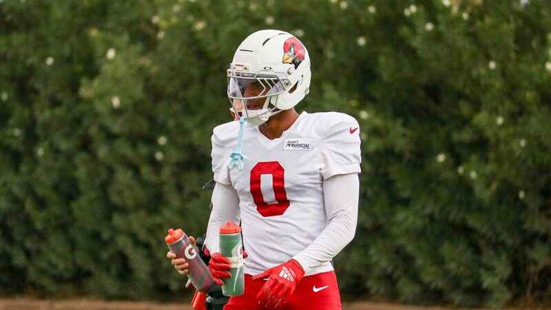 Cardinals' Will Johnson...