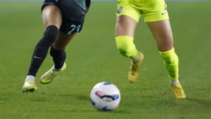 Group plans stadium to lure pro women's soccer team to Fiesta Mall site in Mesa