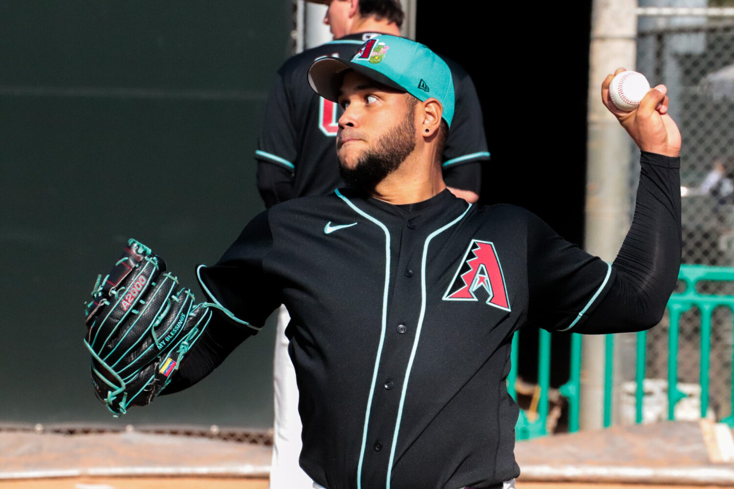 Eduardo Rodriguez, Diamondbacks...