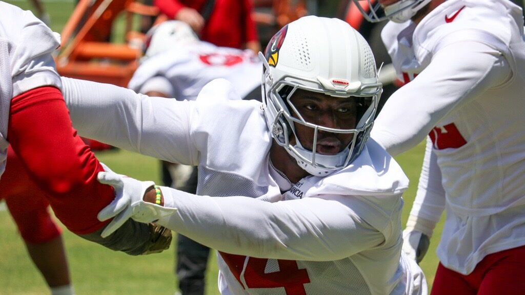 Cardinals' Kaleb Proctor...