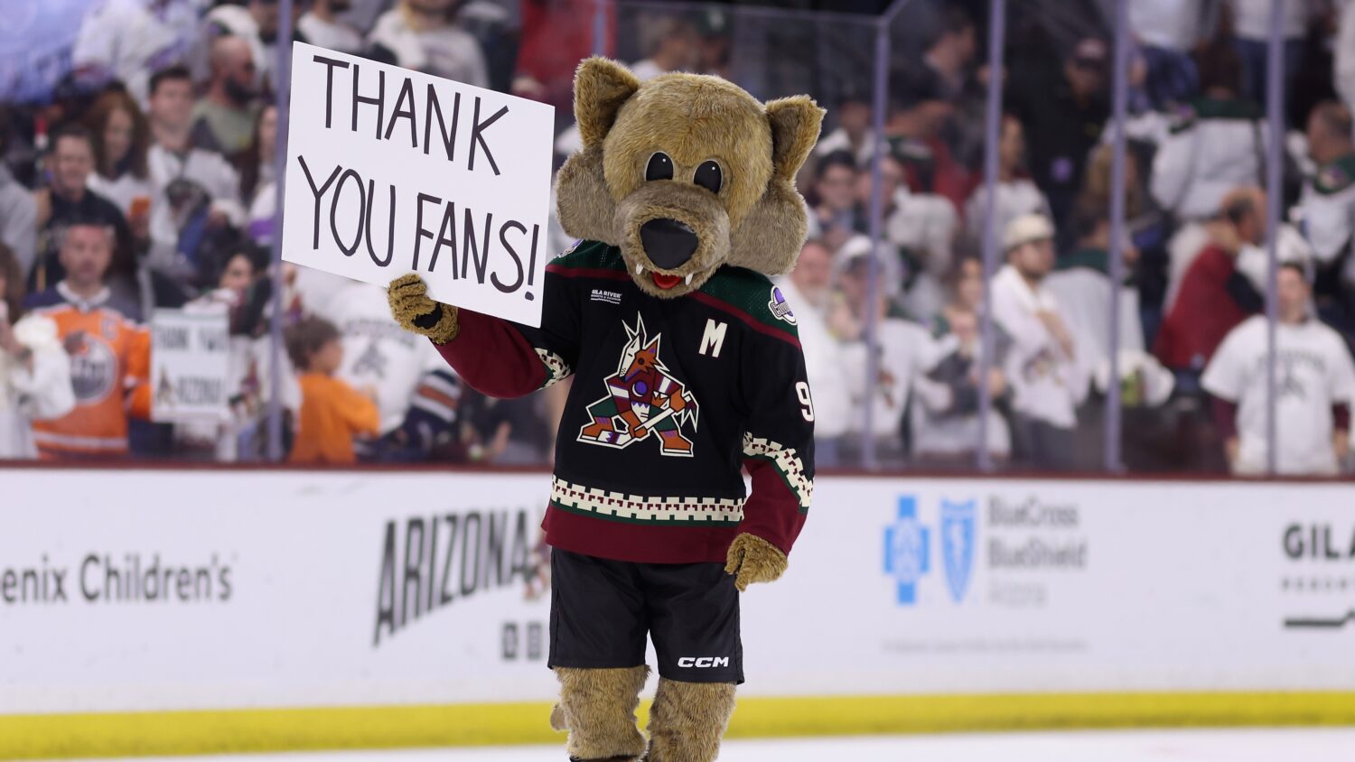 NHL discussing expansion with two Phoenix groups...